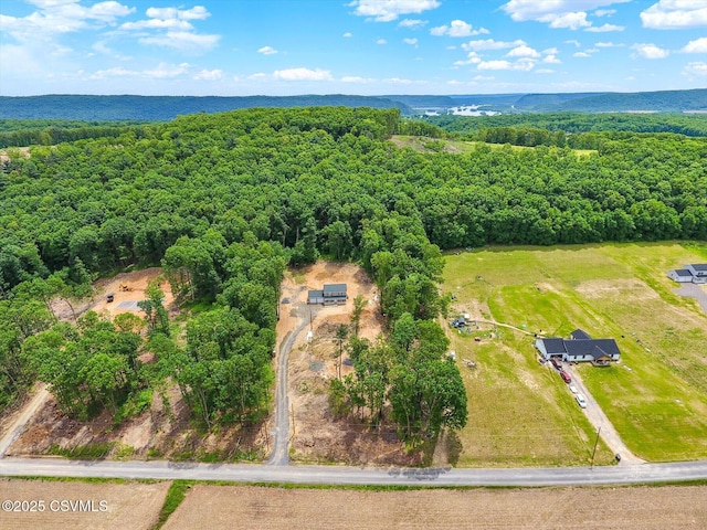 120 Kline Hollow Rd, Liverpool, PA 17045 - photo 41