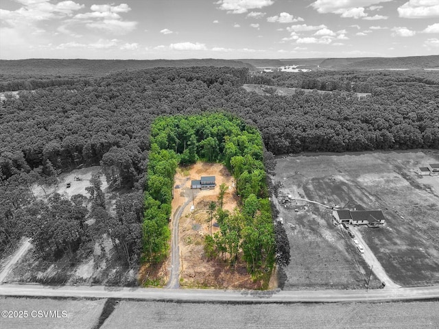 120 Kline Hollow Rd, Liverpool, PA 17045 - photo 42