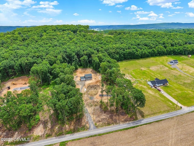 120 Kline Hollow Rd, Liverpool, PA 17045 - photo 43