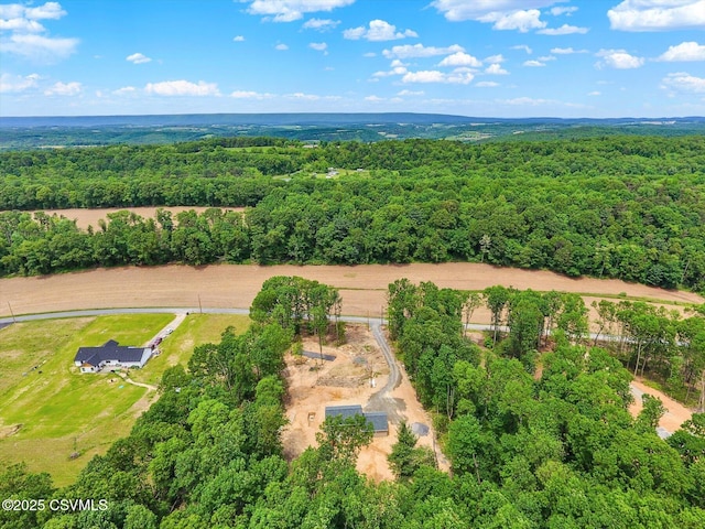 120 Kline Hollow Rd, Liverpool, PA 17045 - photo 44