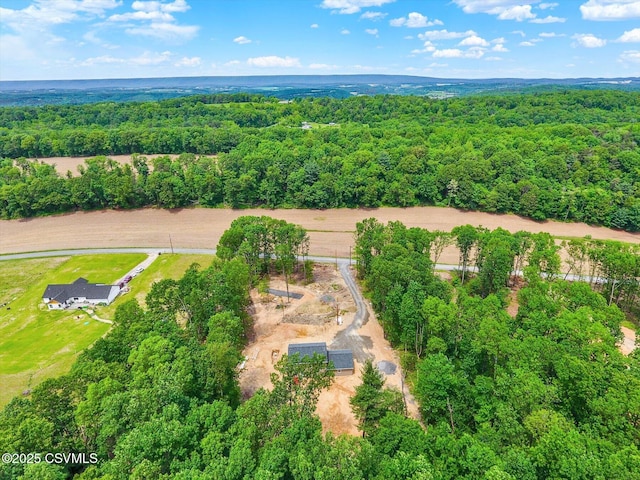 120 Kline Hollow Rd, Liverpool, PA 17045 - photo 45