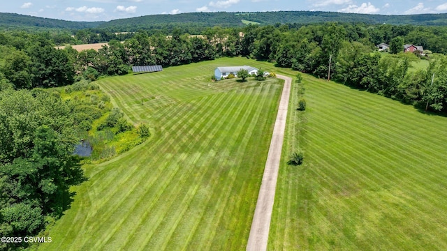 95 Five Points Rd, Muncy, PA 17756 - bird's eye view of a forest