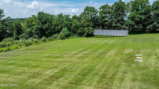 95 Five Points Rd, Muncy, PA 17756 - view of green lawn