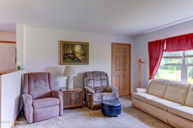 95 Five Points Rd, Muncy, PA 17756 - living room with carpet
