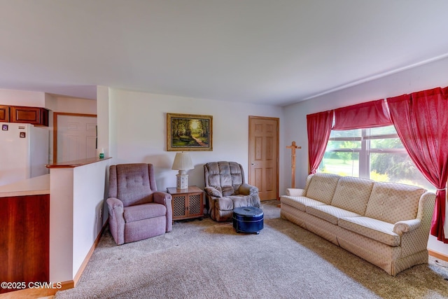 95 Five Points Rd, Muncy, PA 17756 - living area featuring carpet floors