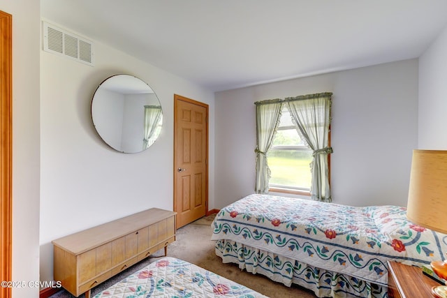 95 Five Points Rd, Muncy, PA 17756 - view of carpeted bedroom