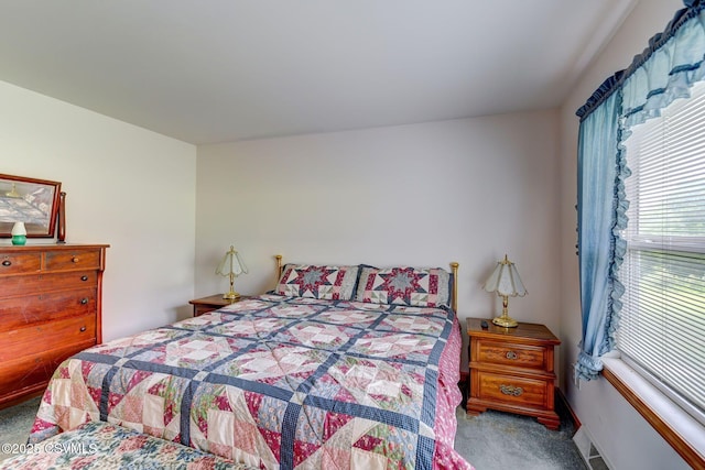 95 Five Points Rd, Muncy, PA 17756 - view of carpeted bedroom