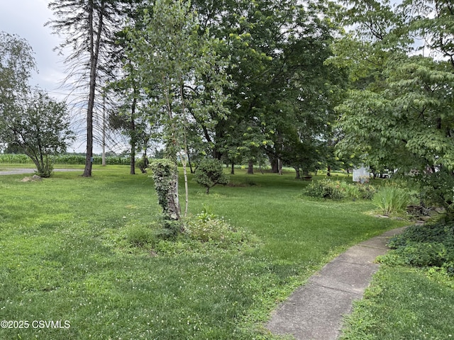 25 Wolfe Rd, Nescopeck, PA 18635 - view of green lawn