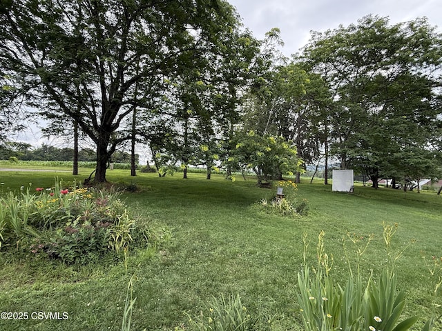 25 Wolfe Rd, Nescopeck, PA 18635 - view of green lawn
