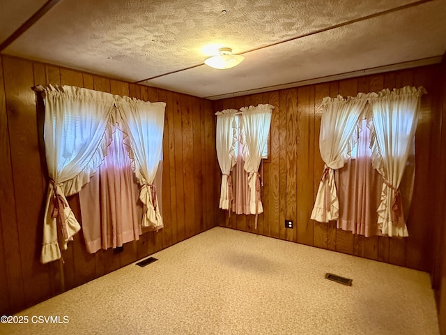 25 Wolfe Rd, Nescopeck, PA 18635 - unfurnished room with a textured ceiling, carpet, and wood walls