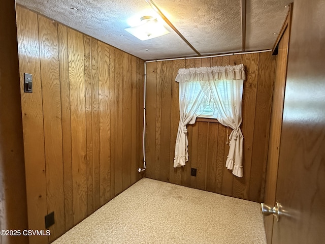 25 Wolfe Rd, Nescopeck, PA 18635 - unfurnished room with a textured ceiling, wood walls, and carpet