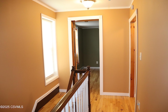 29 Fellows St, Shickshinny, PA 18655 - photo 47