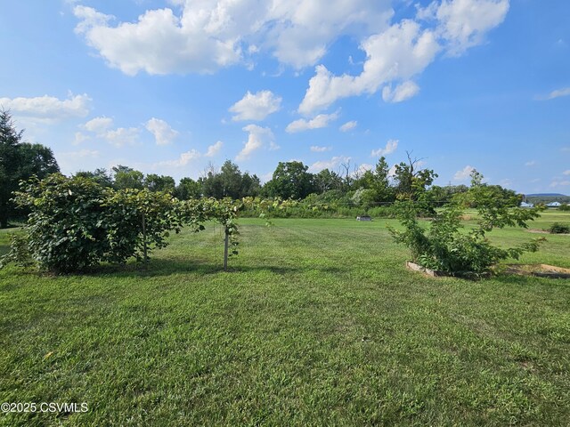 516 Washingtonville Rd, Danville, PA 17821 - photo 33