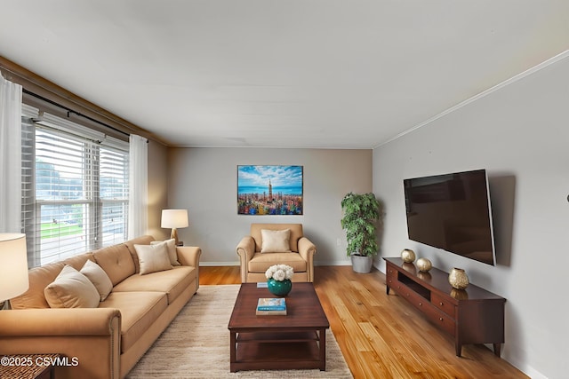 745 Liberty St, Danville, PA 17821 - living area featuring light wood-style flooring and baseboards