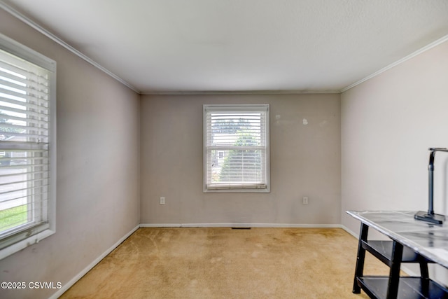 745 Liberty St, Danville, PA 17821 - unfurnished office featuring light colored carpet and crown molding