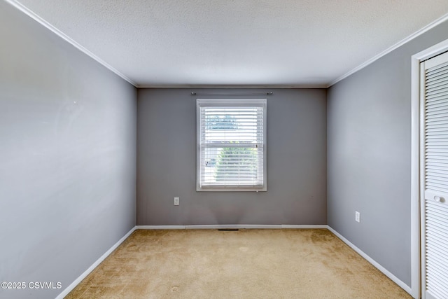 745 Liberty St, Danville, PA 17821 - unfurnished room featuring light colored carpet, crown molding, and a textured ceiling