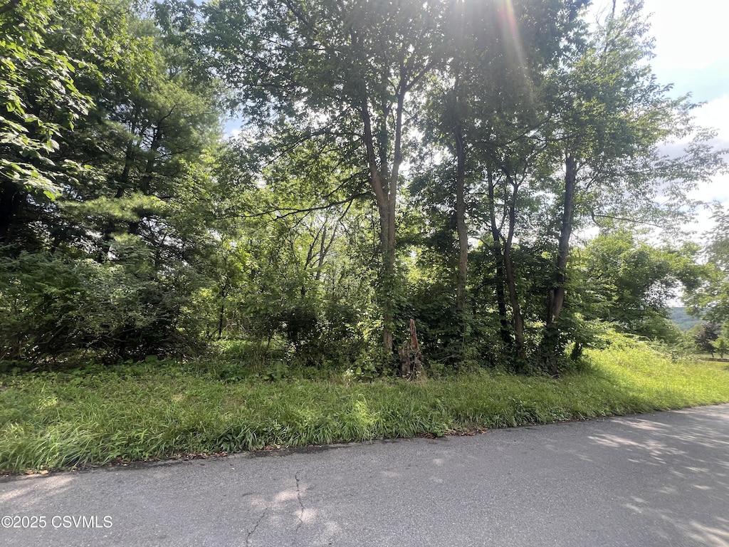 609 Hardscrabble Ln, Lewisburg, PA 17837 - photo 2