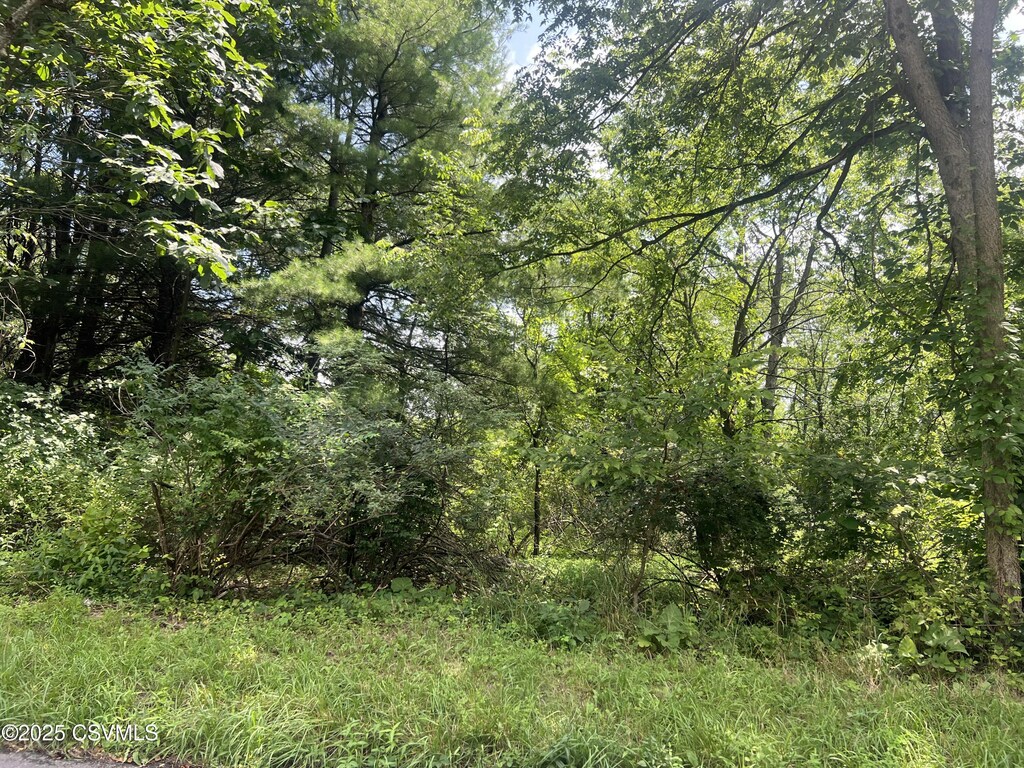 609 Hardscrabble Ln, Lewisburg, PA 17837 - photo 3