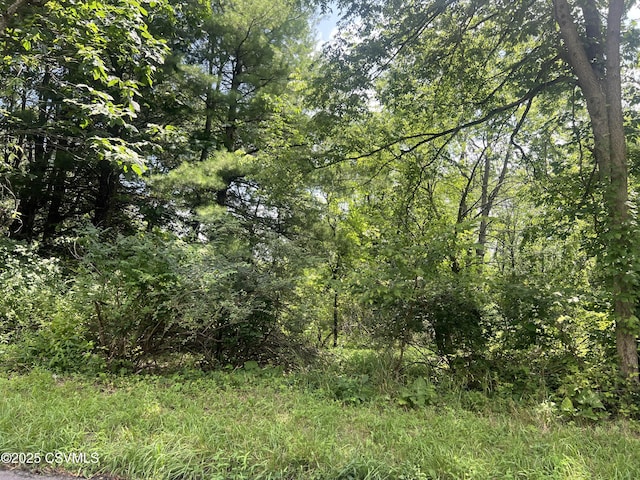 609 Hardscrabble Ln, Lewisburg, PA 17837 - photo 3