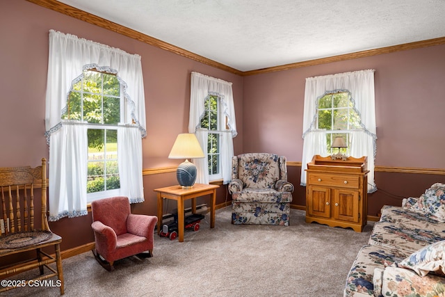 58 Kennedy Rd, Catawissa, PA 17820 - photo 6