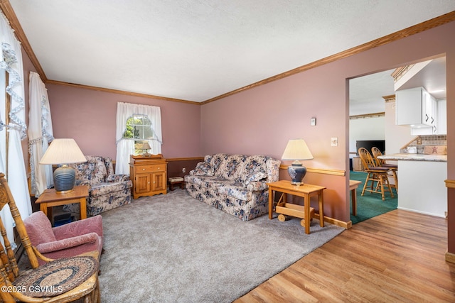 58 Kennedy Rd, Catawissa, PA 17820 - photo 5