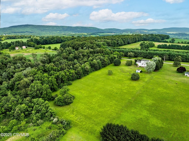 58 Kennedy Rd, Catawissa, PA 17820 - photo 48