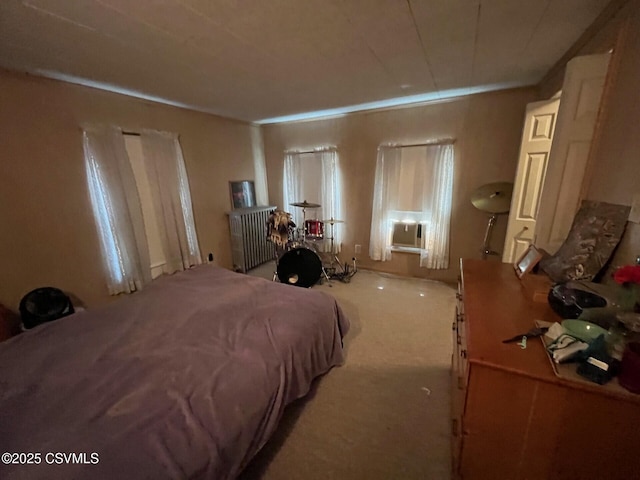 317 S Shamokin St, Shamokin, PA 17872
