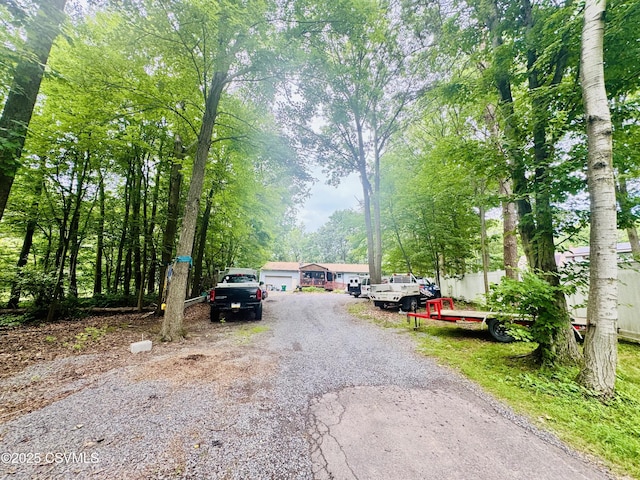 249 E Haas Manor Rd, Sunbury, PA 17801 - view of dirt / gravel road