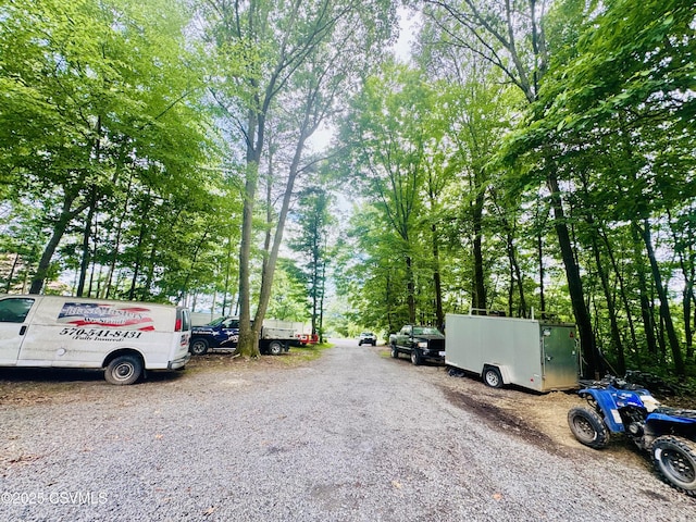 249 E Haas Manor Rd, Sunbury, PA 17801 - view of street