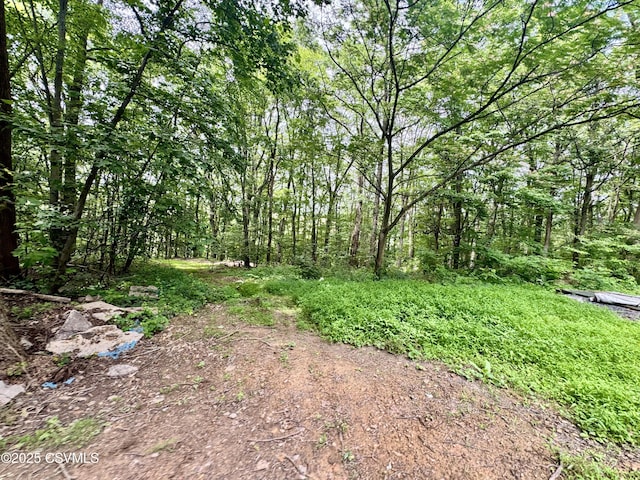 249 E Haas Manor Rd, Sunbury, PA 17801 - view of nature