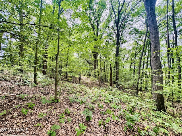 249 E Haas Manor Rd, Sunbury, PA 17801 - view of woods