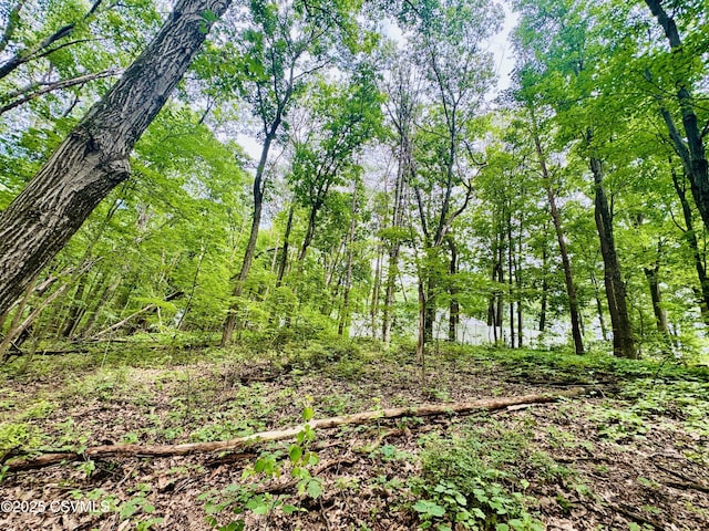249 E Haas Manor Rd, Sunbury, PA 17801 - view of local wilderness