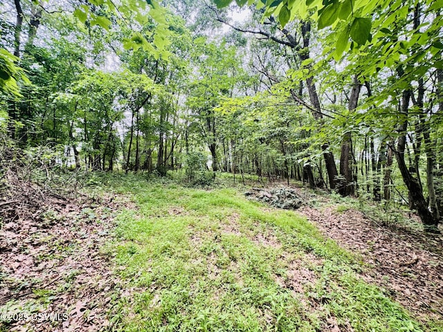 249 E Haas Manor Rd, Sunbury, PA 17801 - view of wooded area
