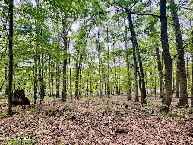 249 E Haas Manor Rd, Sunbury, PA 17801 - view of undeveloped land