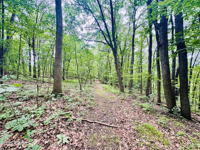 249 E Haas Manor Rd, Sunbury, PA 17801 - view of woods