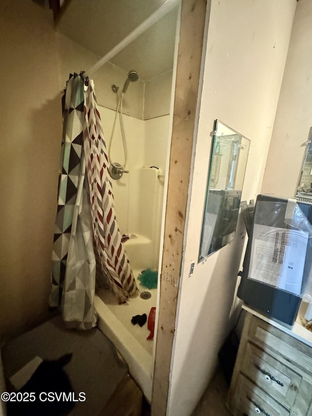249 E Haas Manor Rd, Sunbury, PA 17801 - bathroom featuring a shower stall