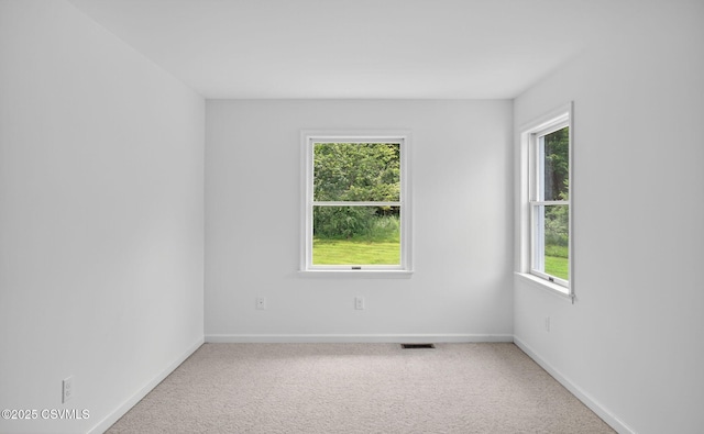 138 Thistle Way, Danville, PA 17821 - photo 40