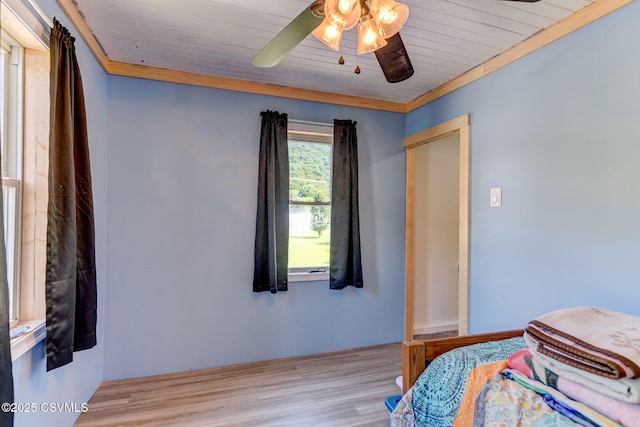 12 Jamison City Rd, Benton, PA 17814 - photo 47