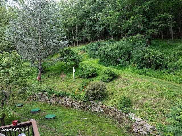 156 Columbia Hill Rd, Danville, PA 17821 - photo 19