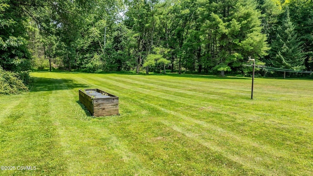 346 Gearhart Rd, Muncy, PA 17756 - photo 5