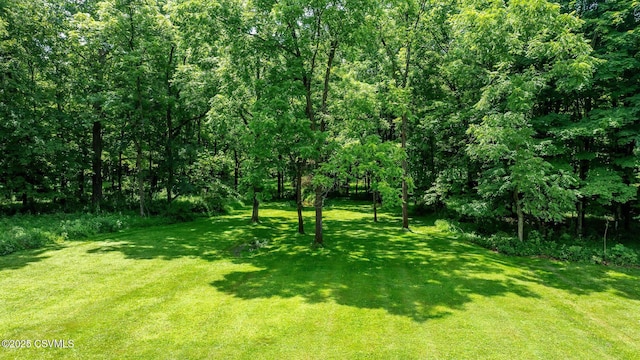 346 Gearhart Rd, Muncy, PA 17756 - photo 7