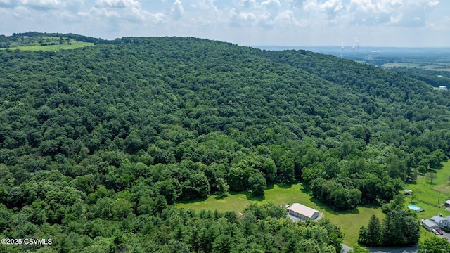 346 Gearhart Rd, Muncy, PA 17756 - photo 40