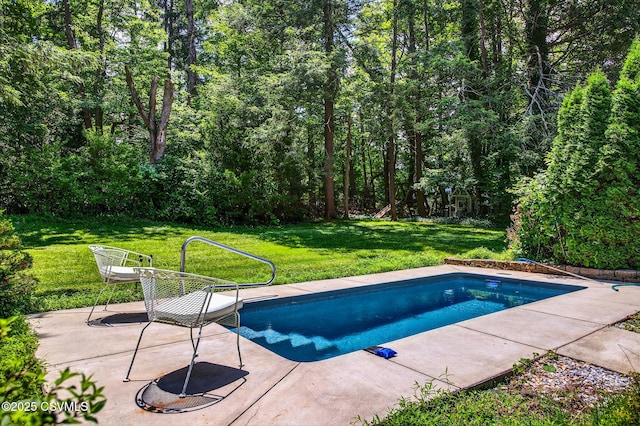 725 Avenue Ave E, Danville, PA 17821 - outdoor pool featuring a lawn and a patio