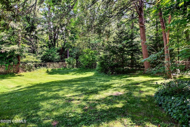 725 Avenue Ave E, Danville, PA 17821 - view of yard with a wooded view