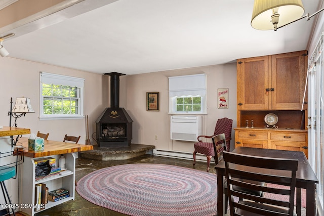 725 Avenue Ave E, Danville, PA 17821 - living room featuring a baseboard heating unit and a wood stove