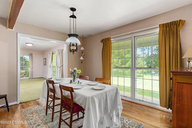 725 Avenue Ave E, Danville, PA 17821 - dining space with light wood-type flooring and baseboards
