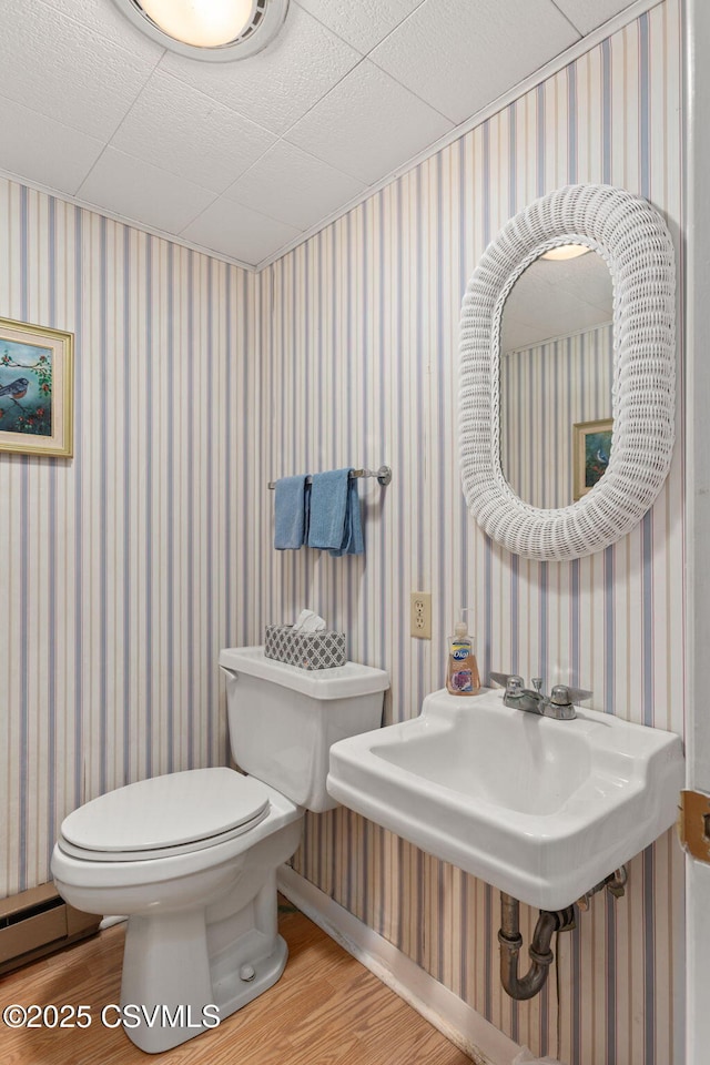 725 Avenue Ave E, Danville, PA 17821 - half bath with wallpapered walls, wood finished floors, and baseboard heating