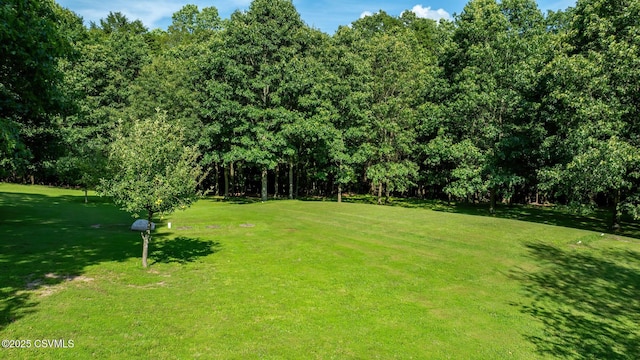 828 Beaver Valley Rd, Bloomsburg, PA 17815 - photo 54