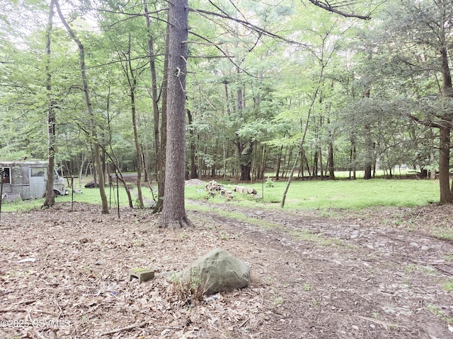 517 Ridge Rd, Nescopeck, PA 18635 - photo 11