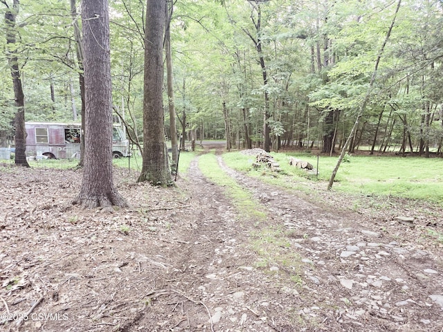 517 Ridge Rd, Nescopeck, PA 18635 - photo 10